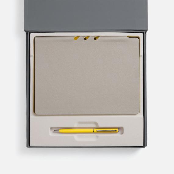 Набор Flexpen Grey, желтый