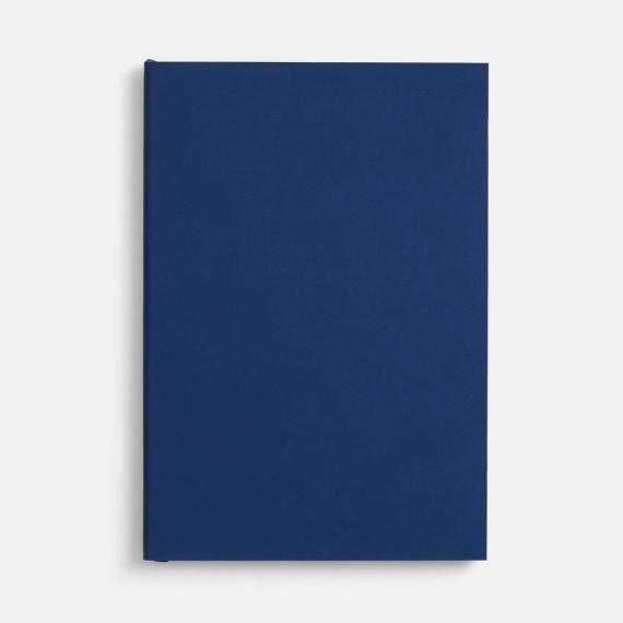 Ежедневник Flat, недатированный, синий, ver.2