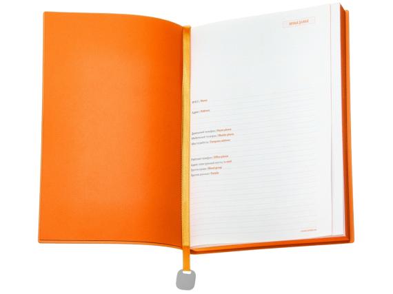 Ежедневник недатированный А5 «Mercury»